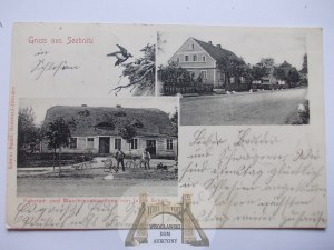 Trzebnice near Lubin, bicycle store, street, 1906