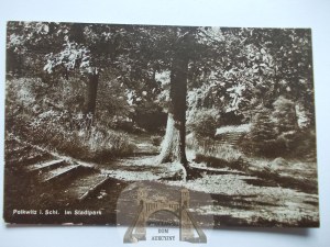 Polkowice, Polkwitz, park, ca. 1930