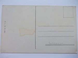 Giant Mountains, Riesengebirge, Humor, lectern, ca. 1914
