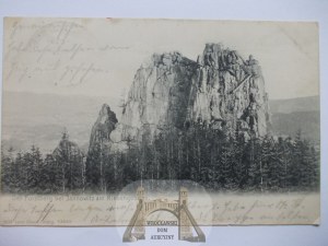 Janowice Wielkie, Jannowitz, Forstberg, 1903