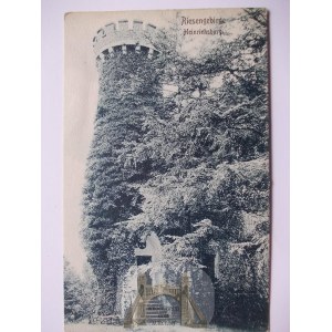 Sosnówka, Zamek księcia Henryka, ok. 1910