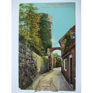 Lwówek Śląski, Lowenberg, wieża głodowa, 1915