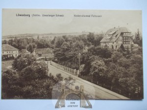 Lviv Silesia, Lowenberg, panorama, 1915