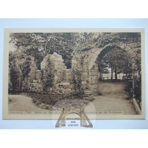 Lwówek Śląski, Lowenberg, ruiny bastionu, ok. 1920