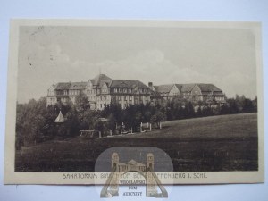 Gryfów Śląski, Greiffenberg, Birkenhof sanatorium, 1926