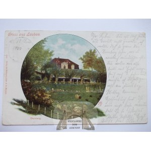 Lubań, Lauban, Steinberg, 1900