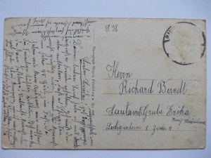 Swieradow-Zdroj, Bad Flinsberg,Villa Dahaim, circa 1920.