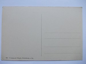 Swieradow-Zdroj, Bad Flinsberg, cure square, ca. 1914