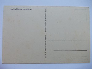 Czerniawa Zdrój, Bad Schwarzbach, viewing tower, ca. 1920.