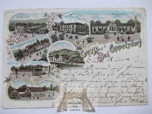 Opolno Zdroj, Bad Oppelsdorf, lithograph, 1898