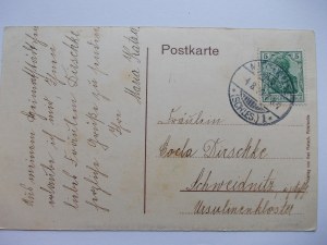 Międzylesie, Mittelwalde, street, weavers' houses, 1907