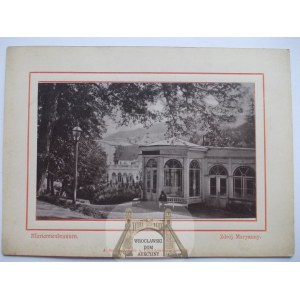 Lądek Zdrój, Bad Landeck, Zdrój Marianny, światłodruk na kartoniku, ok. 1890