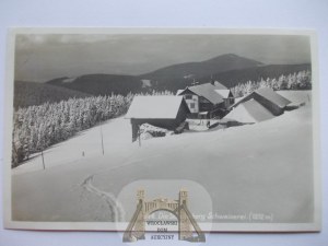 Snowbird, Swiss, Marx publisher, circa 1930.