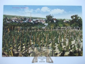 Zielona Gora, Grunberg, winery, ca. 1920