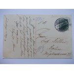Zielona Góra, Grunberg, winnica, 1913
