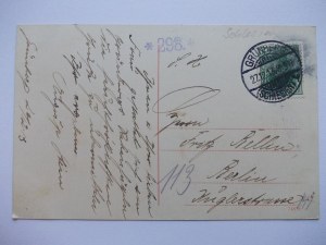 Green Mountain, Grunberg, vineyard, 1913