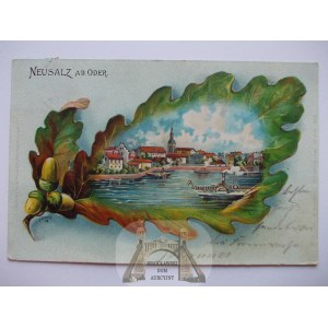 Nowa Sól, Neusalz, litografia w liściu, 1901