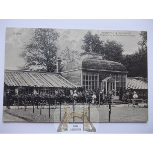 Gębice k. Nowa Sól, szklarnia, 1915