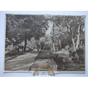 Szprotawa, Sprottau, promenada, 1933