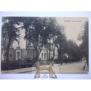 Szprotawa, Sprottau, ulica, Wilhelma, 1914