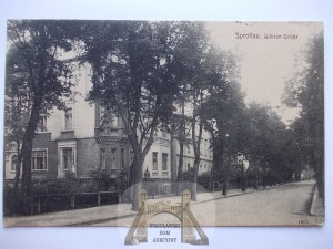 Sprotava, Sprottau, street, Wilhelm, 1914
