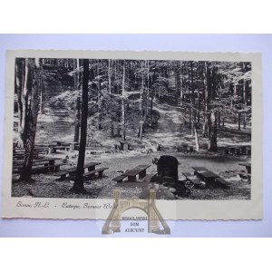 Żary, Sorau, las, 1935