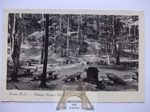 Zary, Sorau, forest, 1935