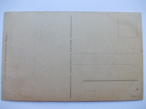 Krosno Odrzańskie, Crossen, panorama, circa 1920.