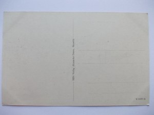 Miedzyrzecz, Meseritz, Obrzyce, institution for the neurologically ill, ca. 1918