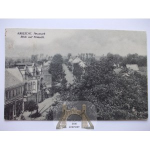 Krzeszyce k. Sulęcin, ulica, 1929