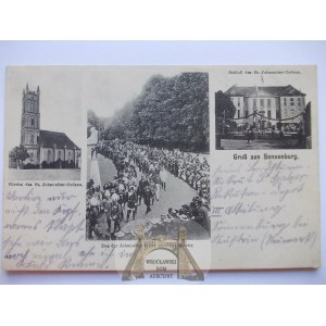 Słońsk k. Sulęcin, pałac, pochód, ok. 1915