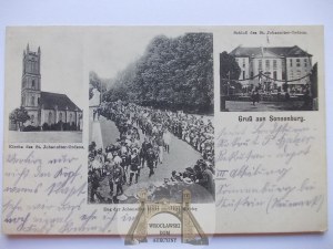 S這雟k near. Sulęcin, palace, parade, ca. 1915