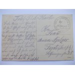 Słońsk k. Sulęcin, pałac, pochód, ok. 1915