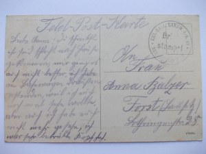 S這雟k near. Sulęcin, palace, parade, ca. 1915