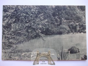 Gorzow Wielkopolski, Landsberg, park, 1916