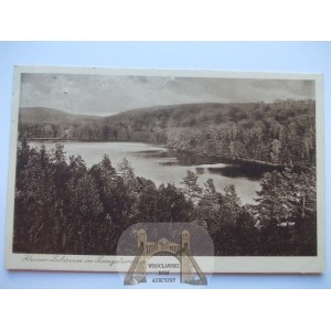 Drezdenko, Driesen, Dom Kuracyjny Lubowsee, 1930
