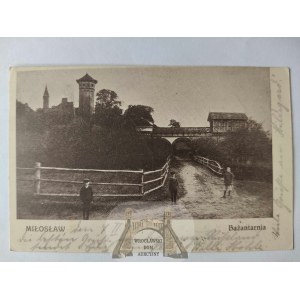 Miłosław k. Września, bażantarnia 1915