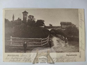 Miłosław near Września, pheasantry 1915