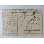 Miłosław k. Września, bażantarnia 1915