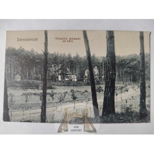 Piła, Schneidemuhl, Konigsblick, wille w lesie ok. 1915