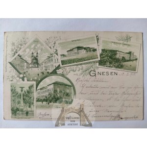 Gniezno, Gnesen, litografia zielona, 5 widoków 1900