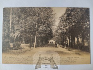 Leszno, Lissa, road to the train station ca. 1900
