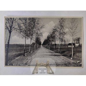 Koło, Wartbrucken, aleja brzozowa 1942