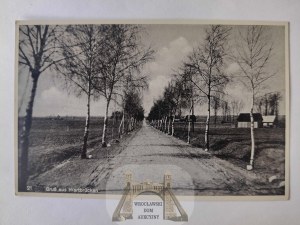 Kolo, Wartbrucken, birch avenue 1942