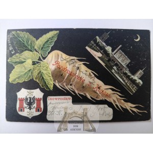 Inowrocław, herb, solanki, rzepa, kolaż 1905