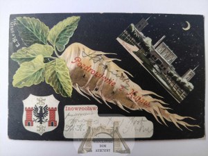 Inowrocław, coat of arms, brine, turnip, collage 1905