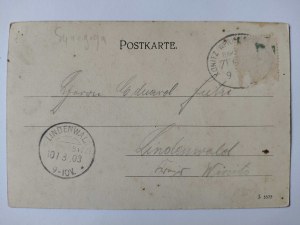 Sepolno Krajenskie, street, synagogue 1903