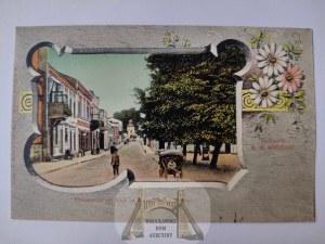 Swiecie, Schwetz, street, Art Nouveau vignette ca. 1905