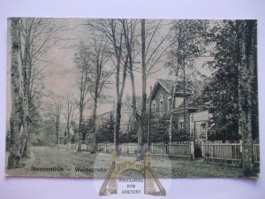 Police - Msciecino, Forest Street, ca. 1920.
