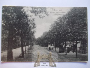 Swinoujscie, Swinemunde, Konigsallee, 1907